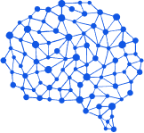 brain